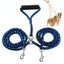 Anti Winding Double Dog Leash 1.4M Carousel 15