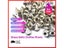 100/30pcs Garment Rivets 10mm Metal Rivets DIY Punk For Leather Shoes Bags Carousel 2