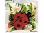 Latch Hook Kits Animal Flower Series Pillowcase 3D Segment Embroidery Pillow Carousel 2