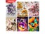 HUACAN 5d Diamond Painting S Animal Diamond Embroidery Cross Stitch Butterfly Carousel 3