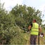 Chainsaw Brush cutter 4 in 1 Carousel 9