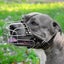 Adjustable Dog Muzzle - (NZ Clearance) Carousel 4