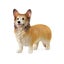Loading Image 1 of 2