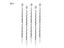 Stainless Steel 7.5 Inch Stir Sticks With Small Rectangular Paddles For Coffee Carousel 1