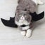 Halloween Cute Pet Clothes Black Bat Wings Harness Costume Cosplay Cat Dog Carousel 6