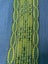 AWESOME VINTAGE 1970's CURTAIN FABRIC - TEAL BLUE / GREEN - 150cm x 1.2m Carousel 2