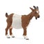 Loading Image 1 of 2
