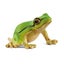 Loading Image 1 of 2