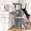Cat Scratching Tree Cat Tower Carousel 10