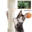 Cat Tower Cat Tree 164cm Carousel 6