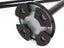 PTN NEW Walking Cane - Sale Sale Sale Carousel 7