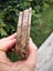 Pounamu greenstone carving slabs Triplets same stone nelson flower nephrite Carousel 6