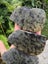 Pounamu greenstone carving slabs Triplets same stone nelson flower nephrite Carousel 10