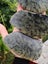 Pounamu greenstone carving slabs Triplets same stone nelson flower nephrite Carousel 11