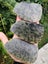 Pounamu greenstone carving slabs Triplets same stone nelson flower nephrite Carousel 9