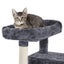 Cat Tower Cat Tree Carousel 9