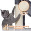 Cat Tower Cat Tree Carousel 18