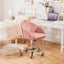 Cute Desk Chair Office Chair Carousel 10