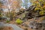 gallery view thumbnail