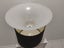 2 Lampshades Carousel 2