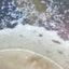 Microworm Culture (Live Food) Carousel 2