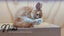 Jersey Wooly rabbit buck Carousel 2