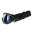 uv protection pet glasses dog goggles uv protection dog sunglasses uv protection Carousel 6