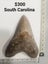 Megalodon shark teeth 9 Carousel 6
