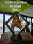 Megalodon shark teeth 9 Carousel 5