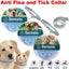 Adjustable Anti Flea Seresto And Tick Collar 8 Month Protection Pet Large Sma... Carousel 1
