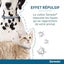 Adjustable Anti Flea Seresto And Tick Collar 8 Month Protection Pet Large Sma... Carousel 6