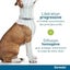 Adjustable Anti Flea Seresto And Tick Collar 8 Month Protection Pet Large Sma... Carousel 7