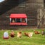 Vaka Chicken Hen Coop Hutch 3 Hole Inside Outside Roll Away Lay Egg Nesting Box Carousel 7