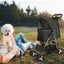 Pet Stroller - (NZ Clearance) Carousel 4