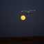 E-flite EFL13850 Night Timber X 1.2M BNF Basic w/AS3X & SAFE Select Carousel 16