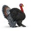 Loading Image 1 of 2