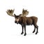 Loading Image 1 of 2