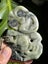 Hei Tiki Pounamu - Horo Mohoua Carousel 1