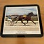 New Zealand Trotting Cup 80’s Winners Horse Racing Placemat Set x6 Vintage Carousel 9