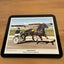 New Zealand Trotting Cup 80’s Winners Horse Racing Placemat Set x6 Vintage Carousel 5