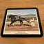 New Zealand Trotting Cup 80’s Winners Horse Racing Placemat Set x6 Vintage Carousel 7