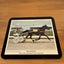 New Zealand Trotting Cup 80’s Winners Horse Racing Placemat Set x6 Vintage Carousel 6
