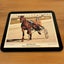 New Zealand Trotting Cup 80’s Winners Horse Racing Placemat Set x6 Vintage Carousel 8