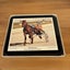 New Zealand Trotting Cup 80’s Winners Horse Racing Placemat Set x6 Vintage Carousel 3