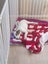 Oliver - American bulldog x - Spot Rescue Carousel 15