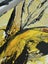 Tui bird abstract painting Carousel 5