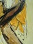 Tui bird abstract painting Carousel 4
