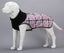 DOG COAT SCRUFFS THERMAL 50CM CALAMITY JANE SPECIAL Carousel 1