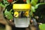 2Pcs Solar Powered Wasp and Bee Trap Yellow Jacket Hornet Catcher -Yellow Carousel 8