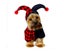 Cute Pet Halloween Cartoon Clown Joker Costume for Pet Dog Teddy Cat Autumn L Carousel 2
